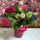 office flowers